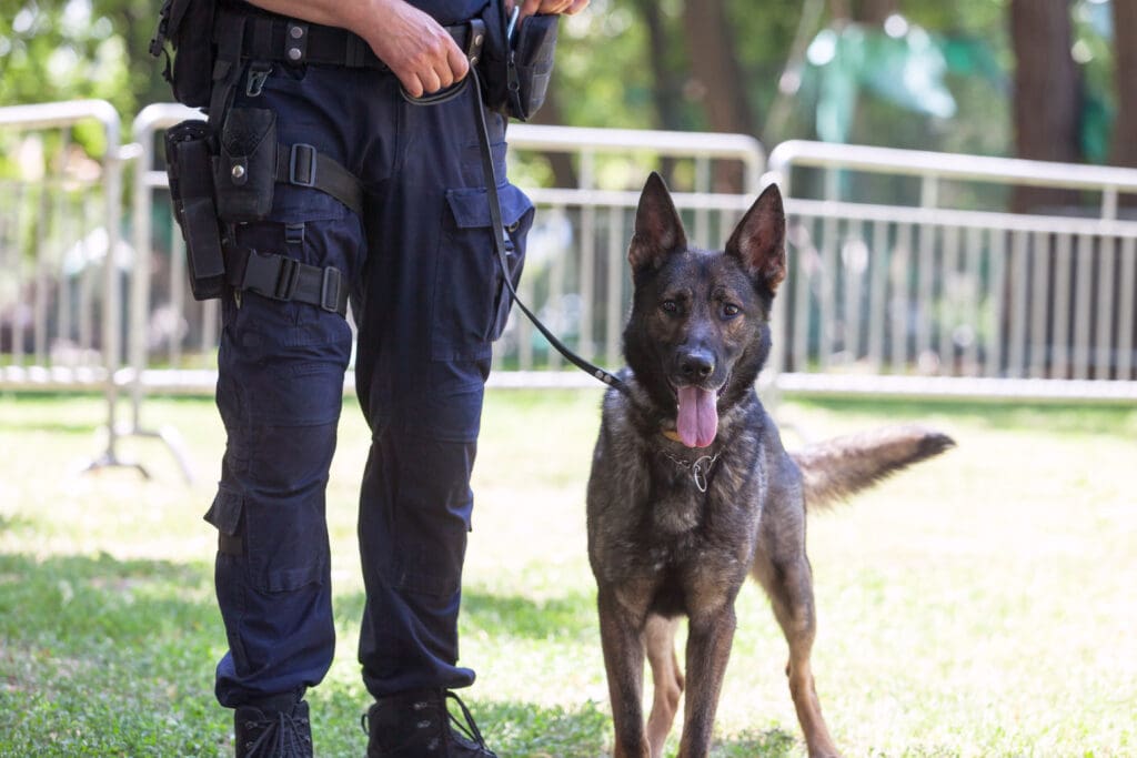 K9 Security agent with his German Shepherd
